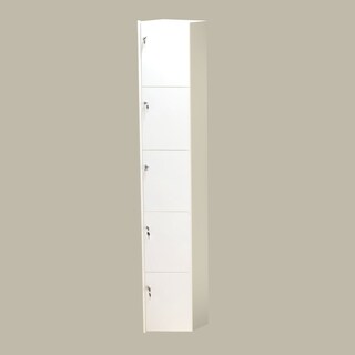 Foto 1 | Casillero Locker 5 Puertas Minimalista Mdf