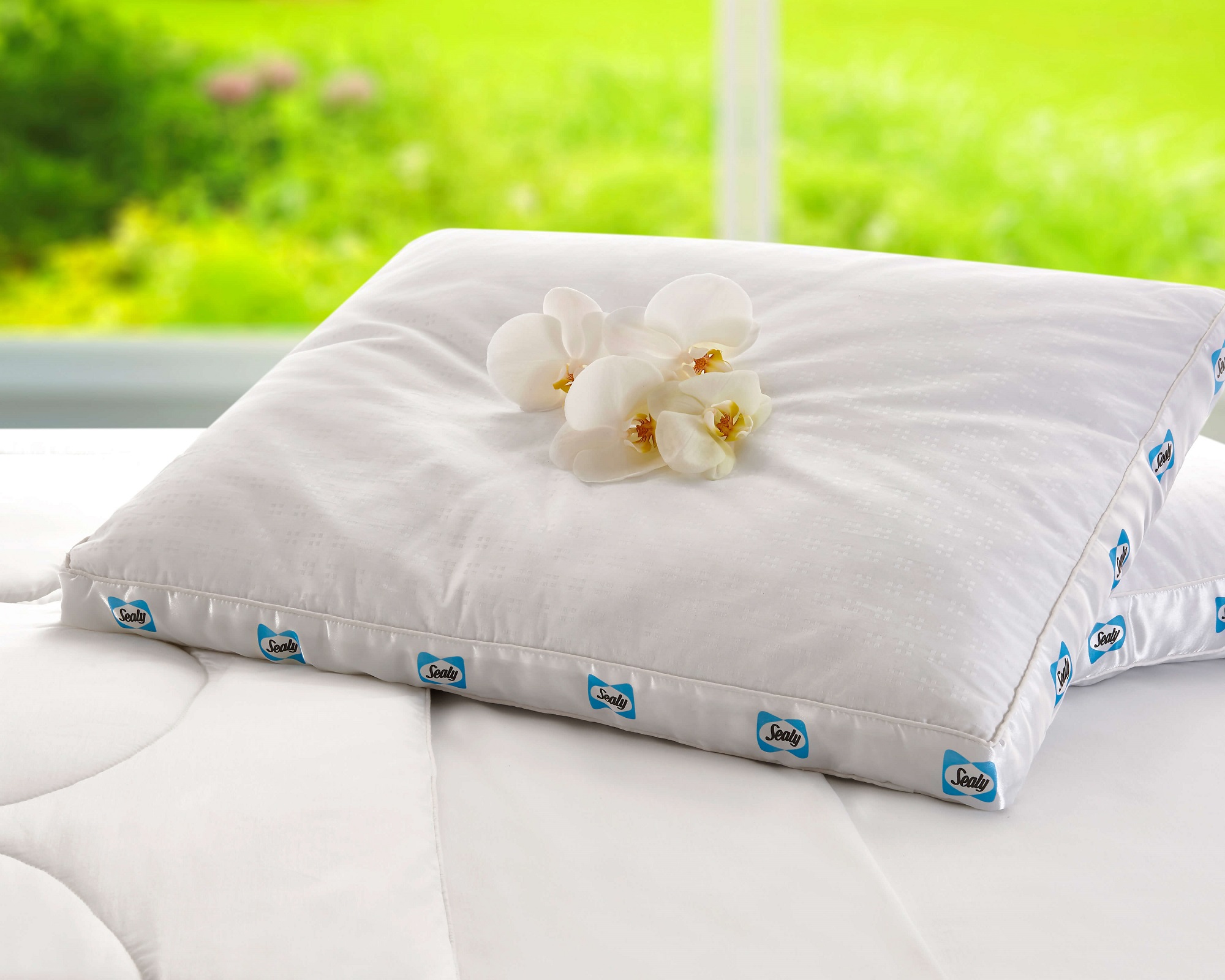 Almohada King Size Sealy Intense color Blanco