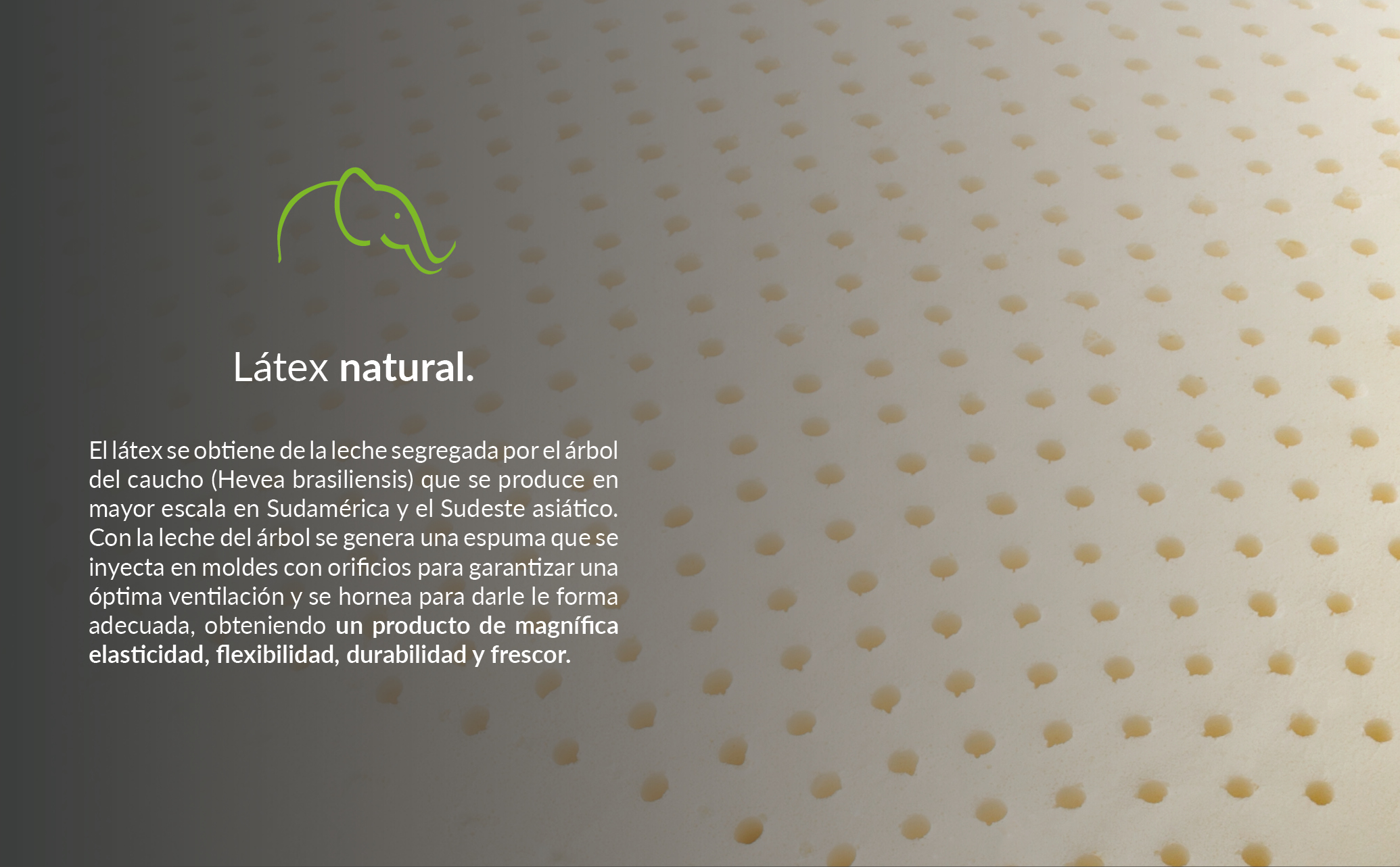 Foto 5 pulgar | Paquete De 2 Almohadas Tamaño Estándar De Látex Natural Con Funda De Bambú Lavable - Lester Organic Látex