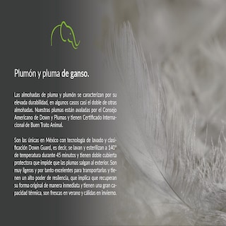 Foto 4 | Almohadas Pluma de Ganso y Pato Certificadas Downguard 2 Piezas
