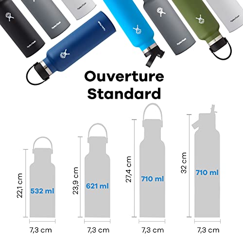 Foto 3 | Venta Internacional - Botella de Agua Hydro Flask 620 ml con Aislamiento