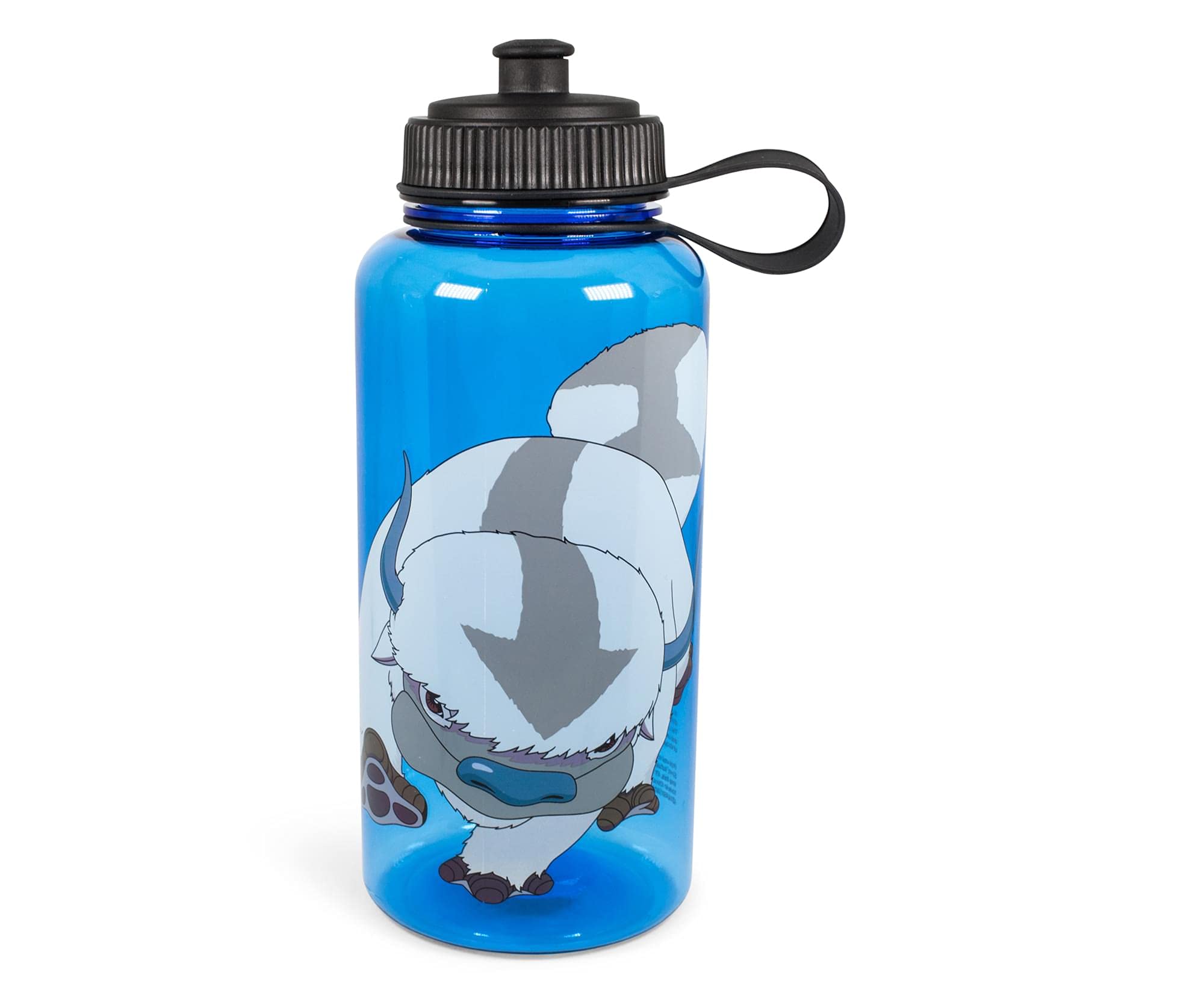 Botella De Agua Silver Buffalo Avatar Appa De 1 Litro Sin Bpa - Venta Internacional.