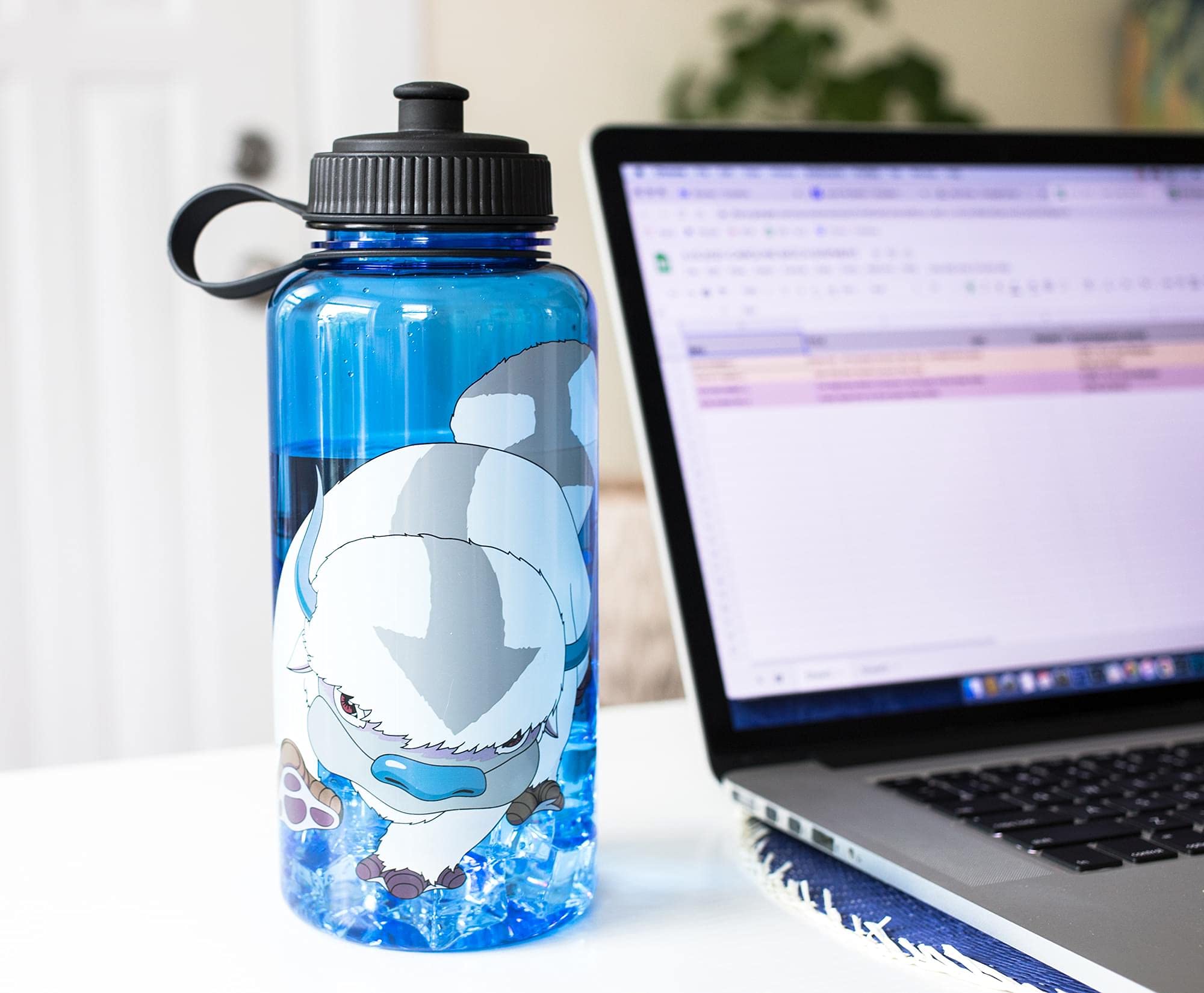 Foto 6 | Botella De Agua Silver Buffalo Avatar Appa De 1 Litro Sin Bpa - Venta Internacional.