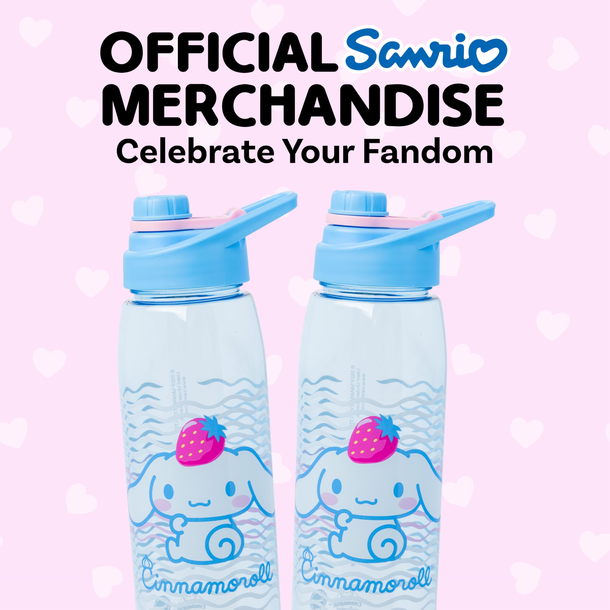 Foto 3 pulgar | Botella De Agua Silver Buffalo Sanrio Hello Kitty Cinnamoroll - Venta Internacional.