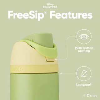 Foto 4 | Botella De Agua Owala Disney Princess Freesip 700 Ml De Acero Inoxidable - Venta Internacional.