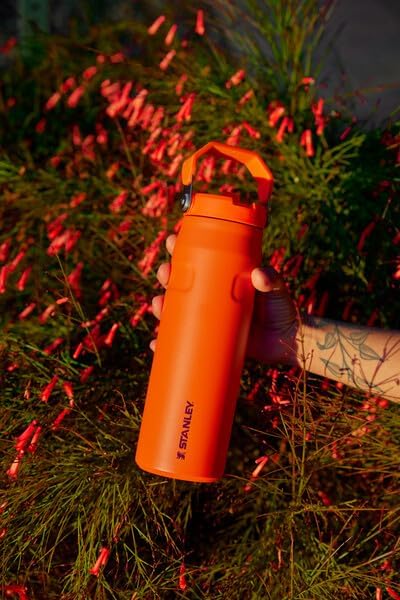 Foto 7 pulgar | Botella De Agua Stanley Iceflow Flip Straw 2.0 710 Ml Fresa - Venta Internacional.