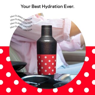 Foto 3 | Botella de Agua Corkcicle Disney Minnie 500 ml - Venta Internacional