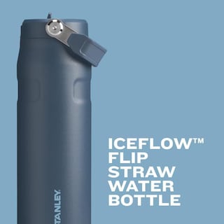 Foto 4 | Botella de Agua Stanley 710 ml-Venta Internacional
