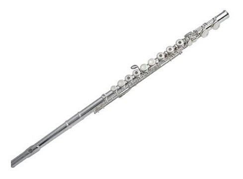 Flauta Transversal Selmer  Fl650ridir $10,780