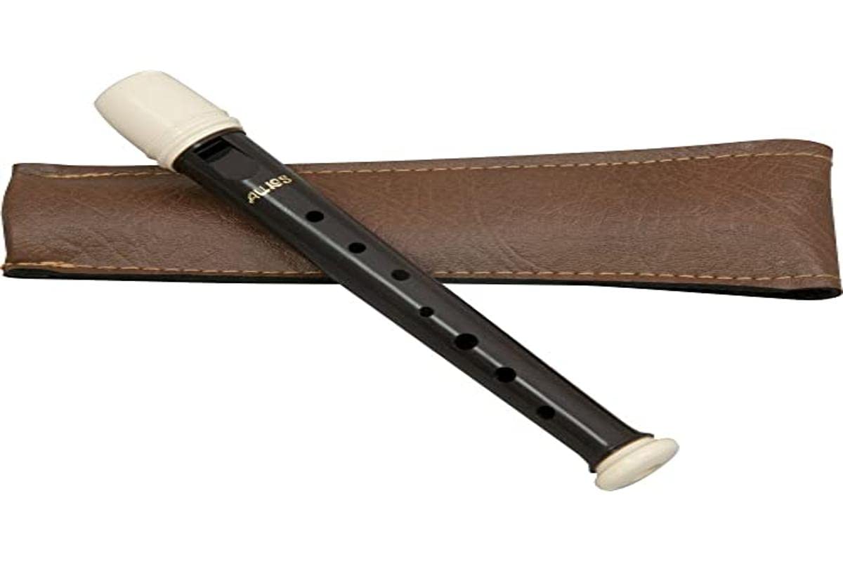 Foto 1 | Grabadora Garklein Aulos 501s Symphony De Plástico Abs - Venta Internacional.