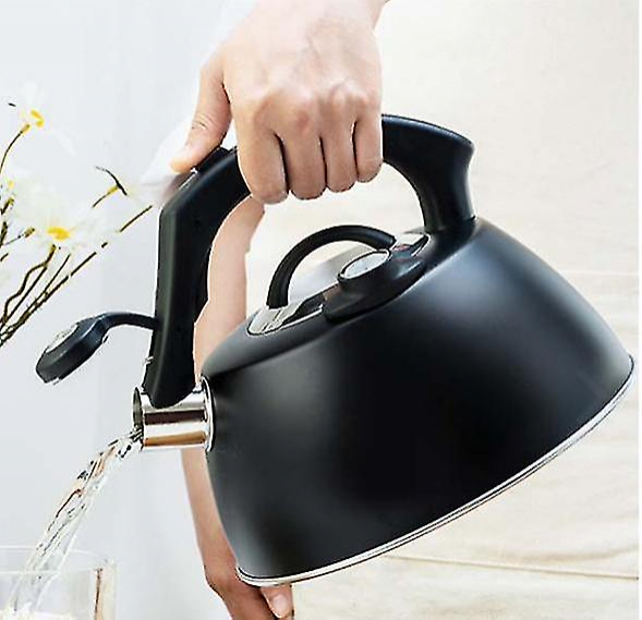 Foto 1 | Hervidor Eléctrico Huoguo De Acero Inoxidable Con Silbato Con Termómetro - Venta Internacional.
