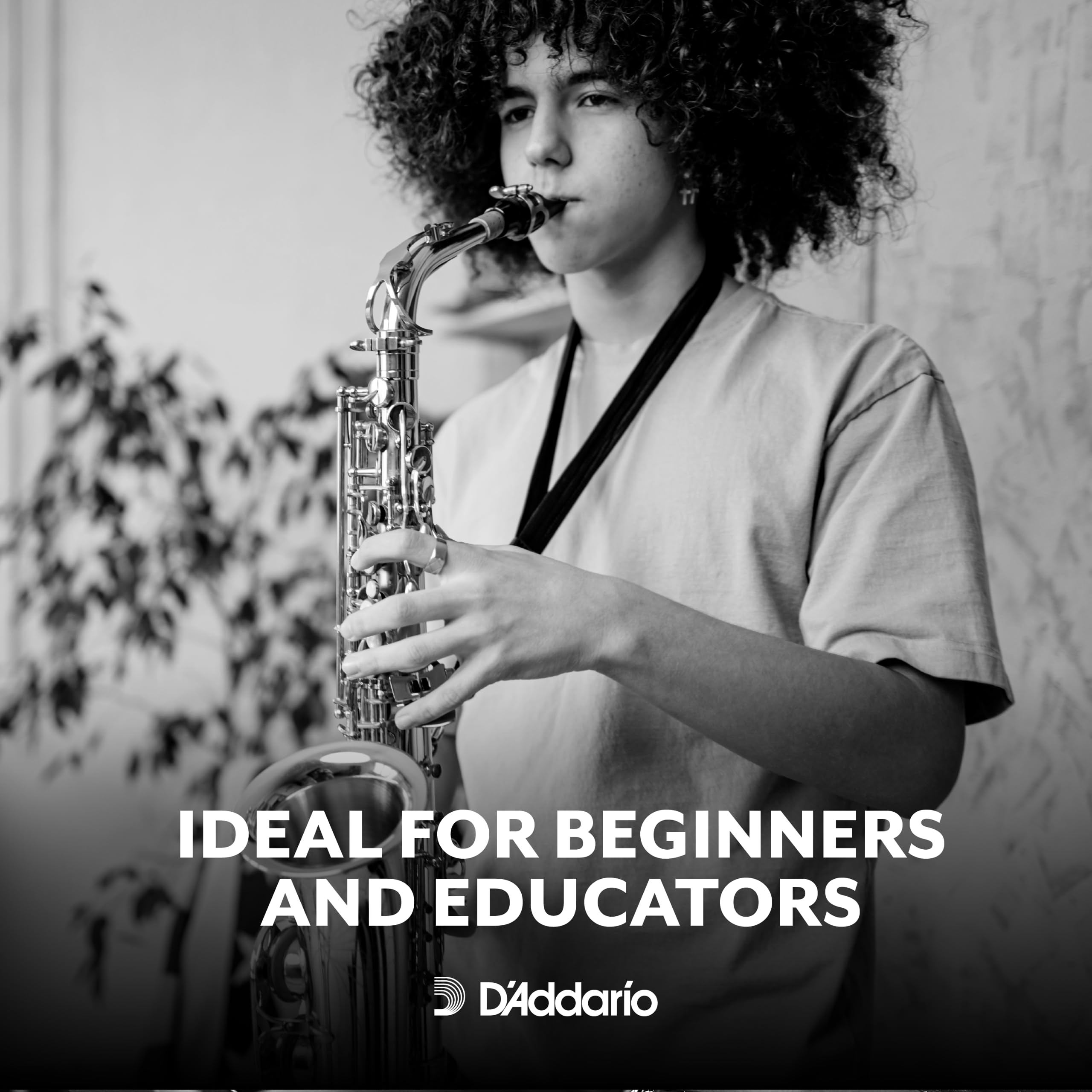 Foto 4 pulgar | Cañas De Saxofón D'addario Rico Para Saxofón Alto, Paquete De 10 - Venta Internacional.
