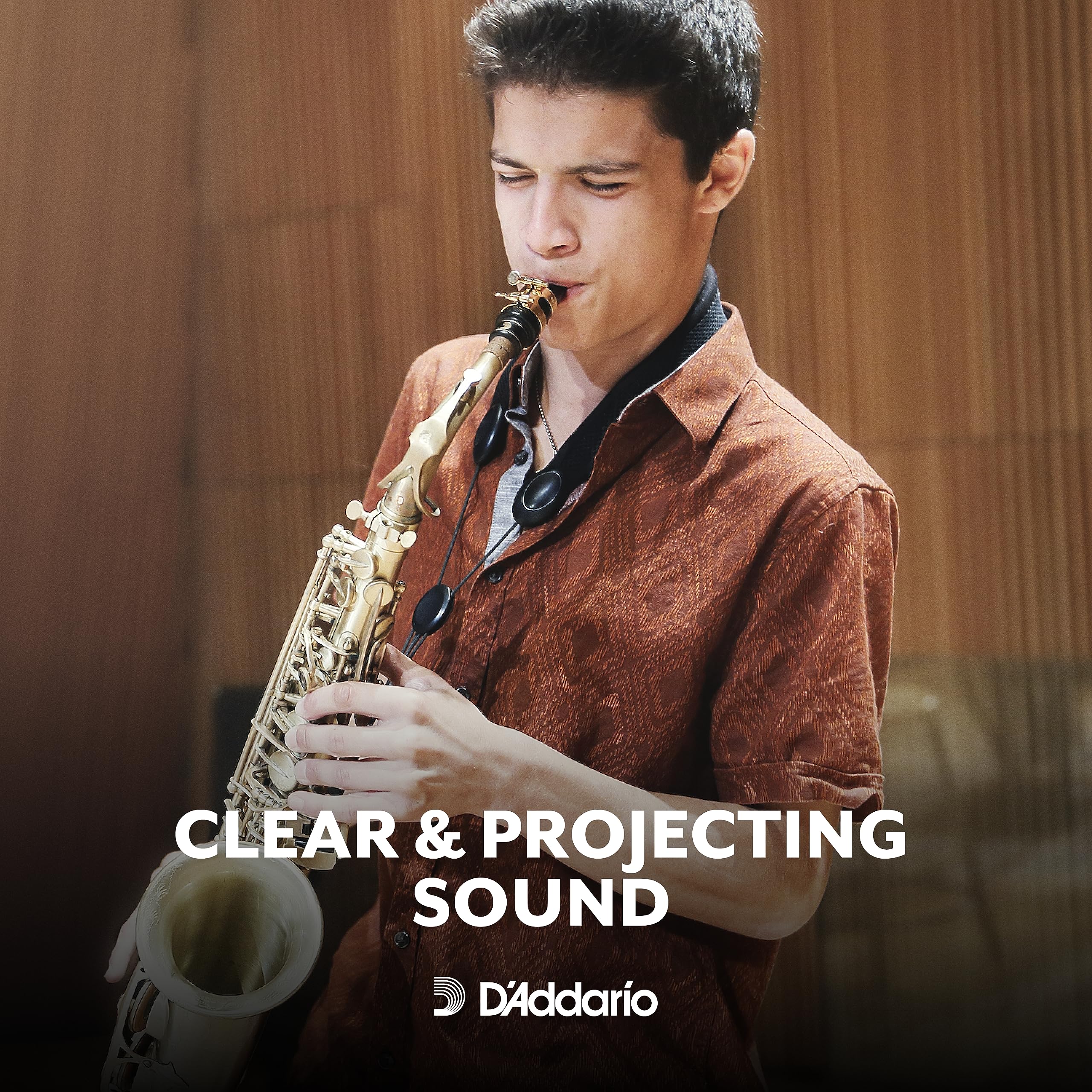 Foto 5 | Cañas De Saxofón D'addario Rico Para Saxofón Alto, Paquete De 10 - Venta Internacional.