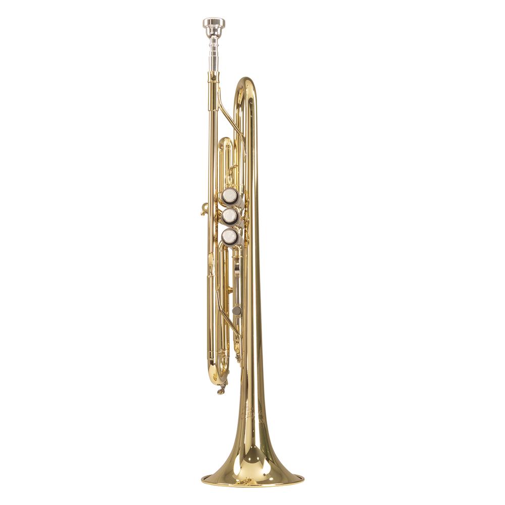Foto 4 pulgar | Trompeta Si Bemol Vosi Antigua Tr2560lq-ah Color Dorado Con Case