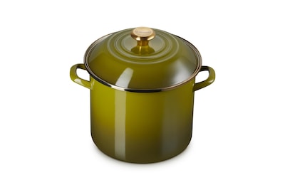 Foto 1 | Stockpot Le Creuset Esmaltado Sobre Acero, 10 L, Verde Oliva - Venta Internacional.