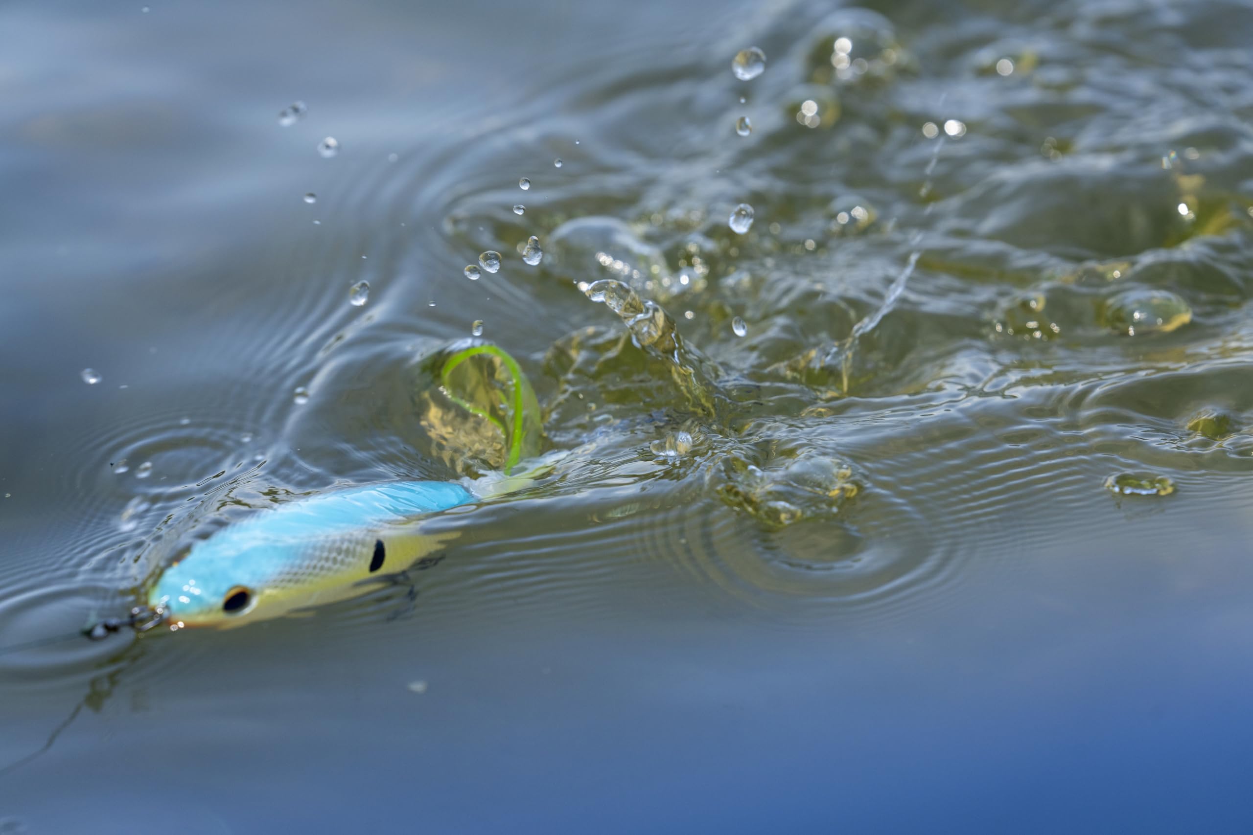 Foto 5 pulgar | Cebo Duro Para Pesca Berkley Choppo Topwater - Venta Internacional.