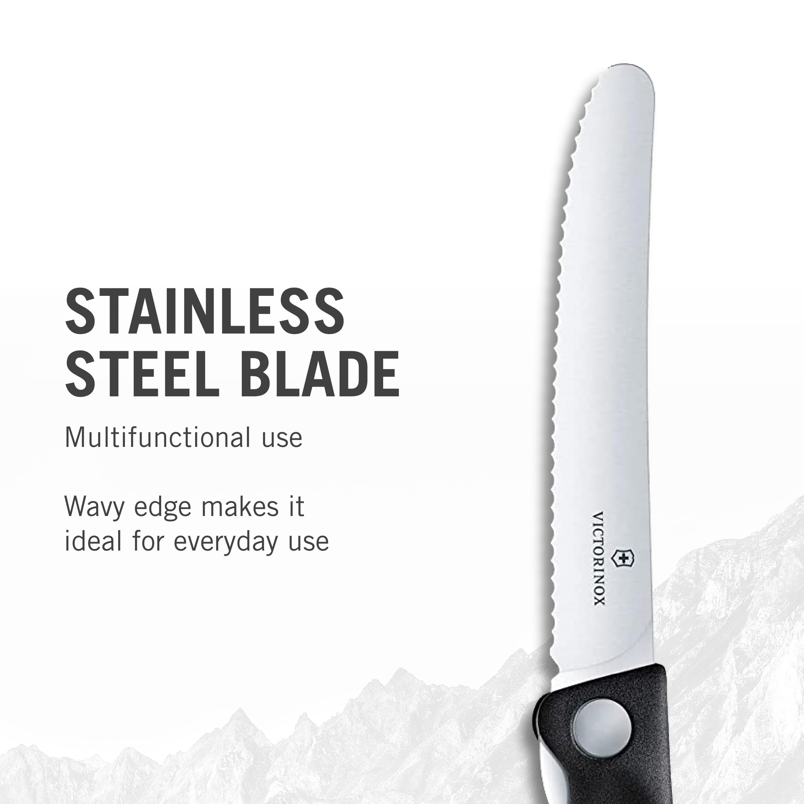 Foto 2 | Cuchillo De Pelar Plegable Victorinox Swiss Classic 11 Cm Negro - Venta Internacional.