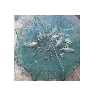 Foto 3 | Trampa Plegable 10 Agujeros Red Pesca Cangrejos Peces Jaibas Eo Safe Imports Esi-12025 Verde