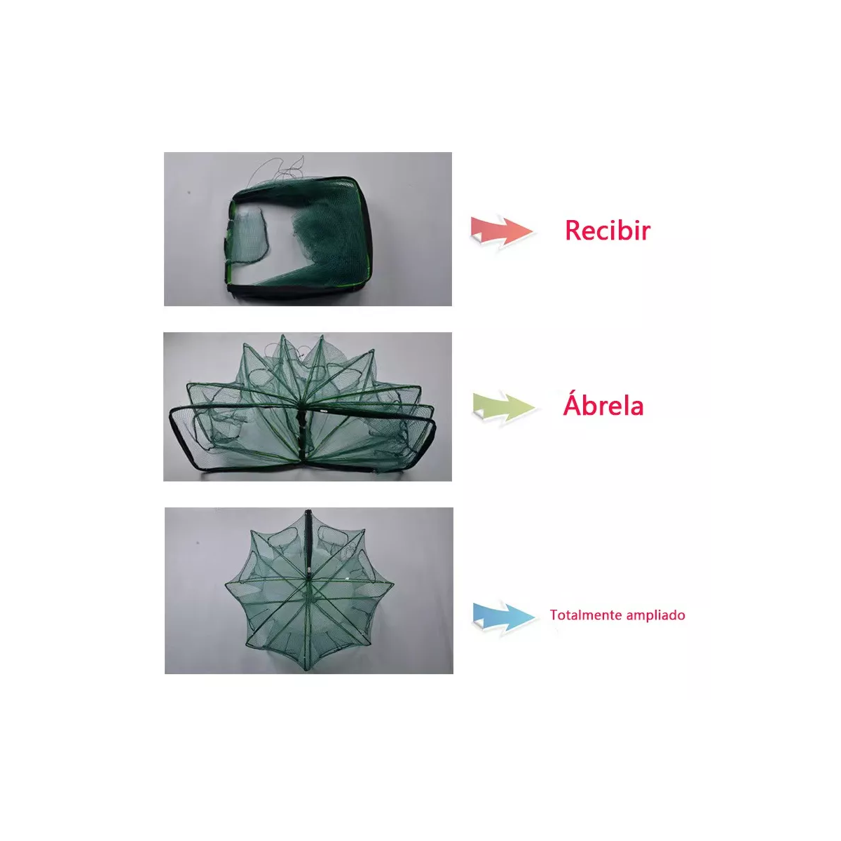 Foto 3 pulgar | Trampa Plegable 10 Agujeros Red Pesca Cangrejos Peces Jaibas Eo Safe Imports Esi-12025-1 Verde