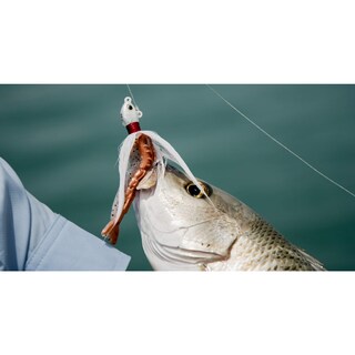 Foto 4 | ¡cebo Berkley Gulp! Root Beer De Camarones, 3 Pulgadas (36 Unidades), Color Dorado/cha - Venta Internacional.
