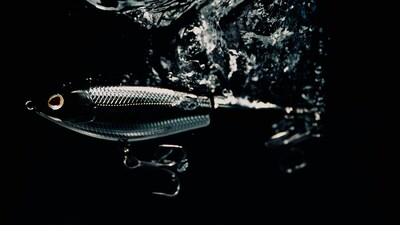Foto 6 | Cebo Duro Para Pesca Berkley Choppo Saltwater, 105 Mm, 21 G - Venta Internacional.