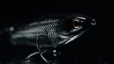 Foto 7 | Cebo Duro Para Pesca Berkley Choppo Saltwater, 105 Mm, 21 G - Venta Internacional.
