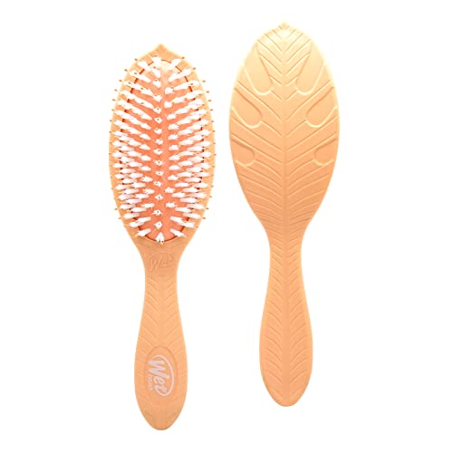 Venta Internacional - Brocha Desenredante Para Cabello Con Infusión De Aceite De C $646