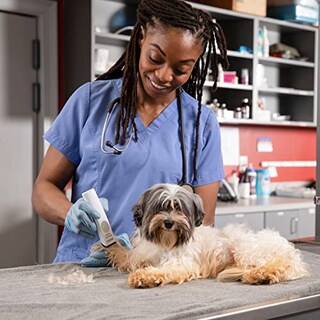 Foto 6 | Recortadora Wahl Vetiva Mini Inalámbrica Para Clínica Veterinaria - Venta Internacional.
