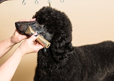 Foto 3 | Recortadora Wahl Professional Animal Miniarco Con O Sin Cable - Venta Internacional.