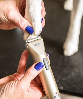 Foto 4 | Recortadora Wahl Professional Animal Miniarco Con O Sin Cable - Venta Internacional.