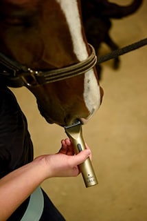 Foto 6 | Recortadora Wahl Professional Animal Miniarco Con O Sin Cable - Venta Internacional.