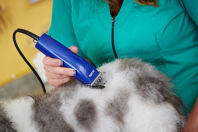 Foto 4 | Kit Clipper Andis Pro-animal Mbg-2 De 7 Piezas Con Accesorios, Color Azul - Venta Internacional.