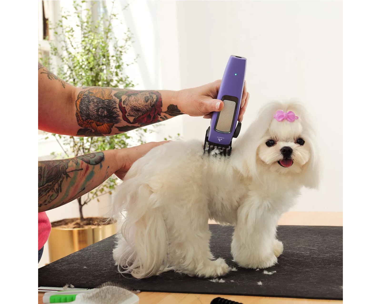 Foto 6 | Maquina Recortadora Pelo Andis Para Mascotas Easy Clip Clc-4