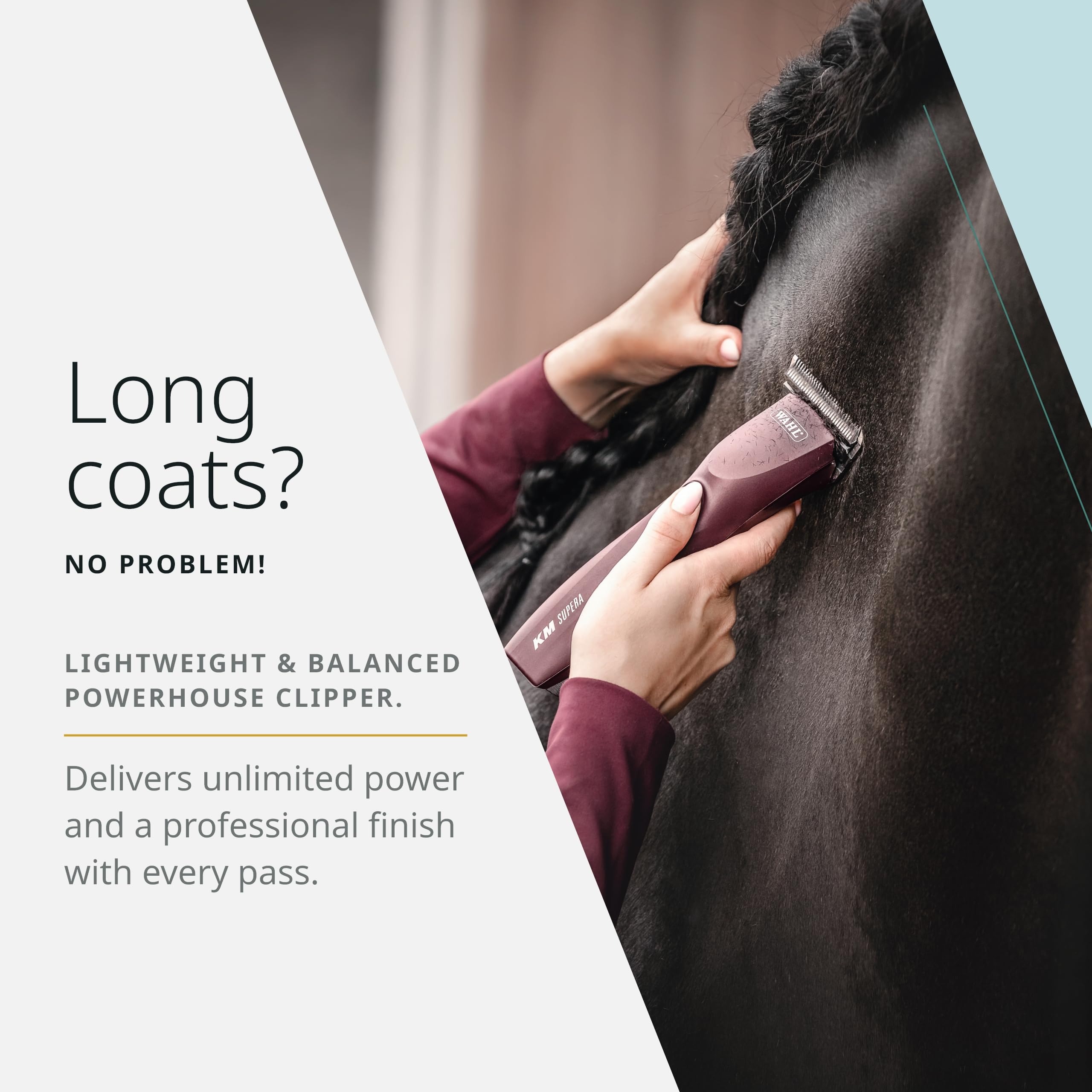 Foto 4 pulgar | Cortadora Inalámbrica Horse Clipper Wahl Pro Animal Km Supera - Venta Internacional