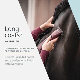 Foto 3 | Cortadora Inalámbrica Horse Clipper Wahl Pro Animal Km Supera - Venta Internacional