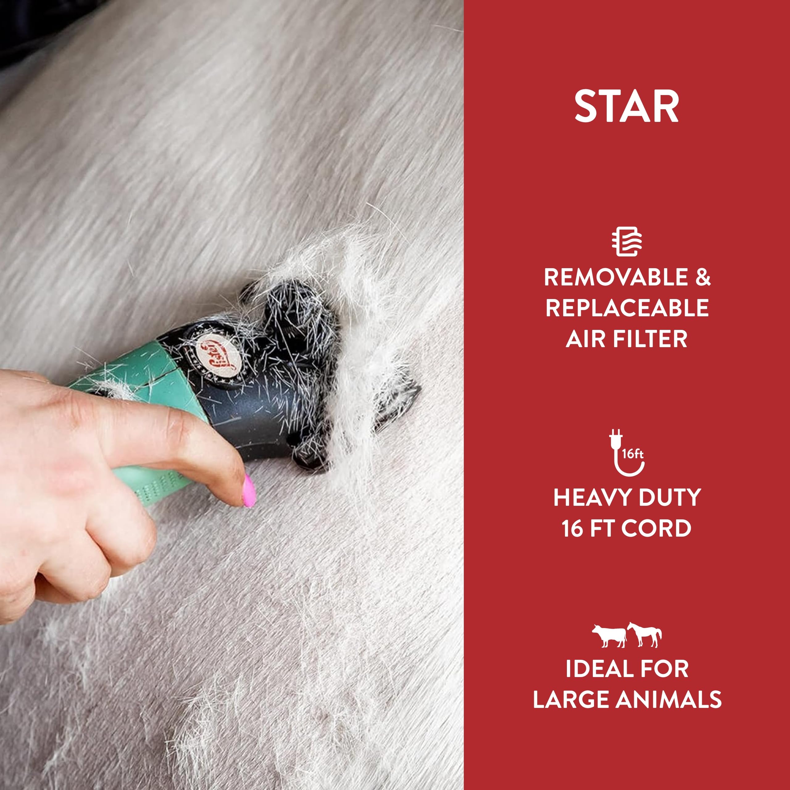 Foto 5 pulgar | Animal Grande Clipper Lister Star Con Hoja Fina Para Caballos Gr - Venta Internacional.
