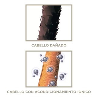 Foto 3 | Secadora de Cabello Profesional Conair Infinitipro