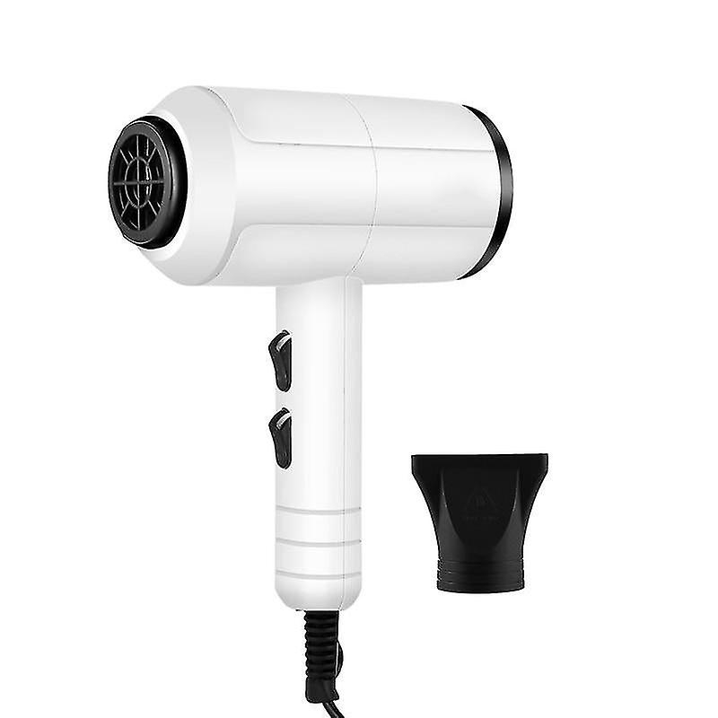 Foto 1 | Secador De Pelo Huoguo 1500 W Profesional Portátil Mini Blanco - Venta Internacional.