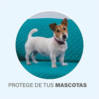 Foto 3 | Protector D/sala Neo Esmeralda 1 Plaza Poliéster Concord