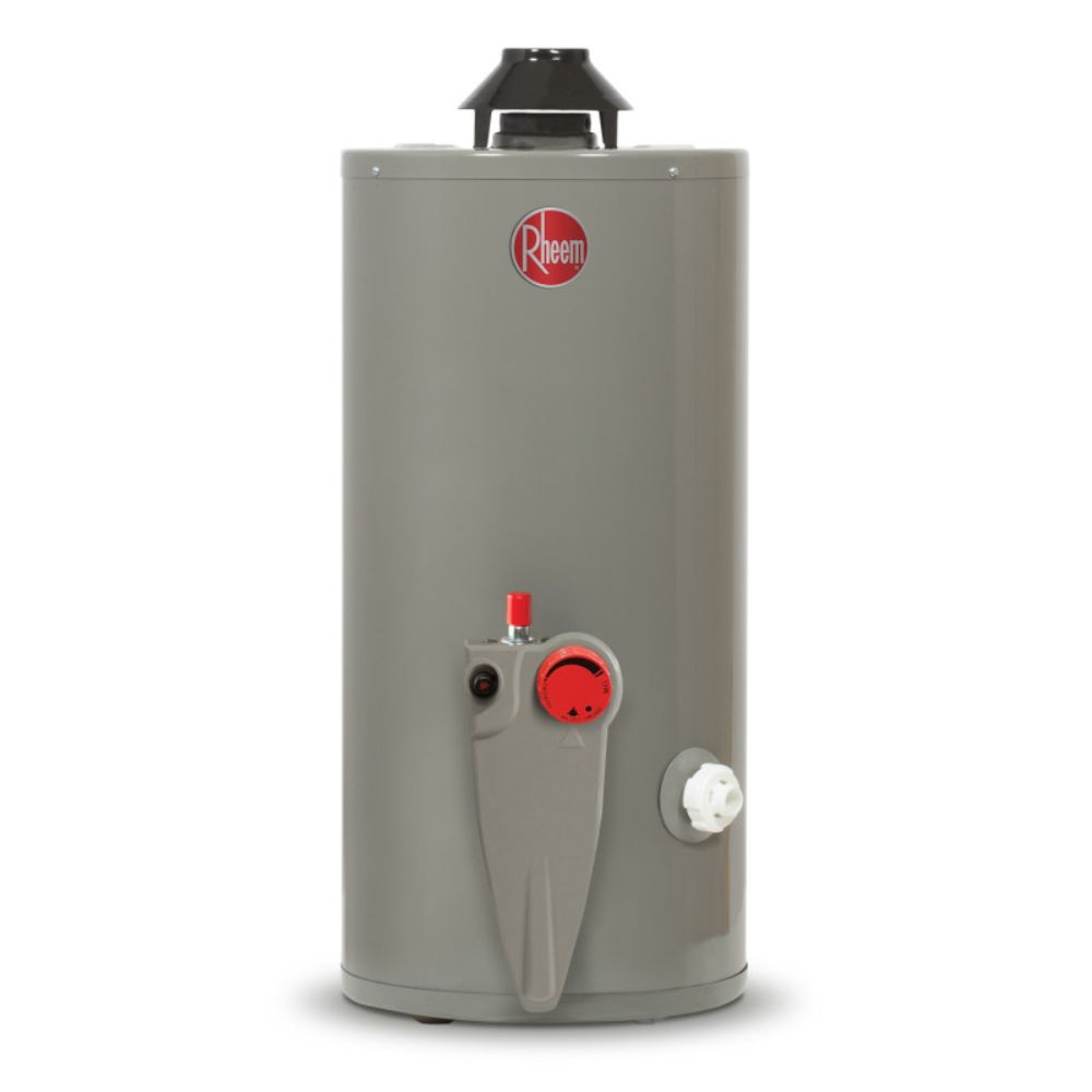 Foto 1 | Calentador de Gas Rheem color Gris