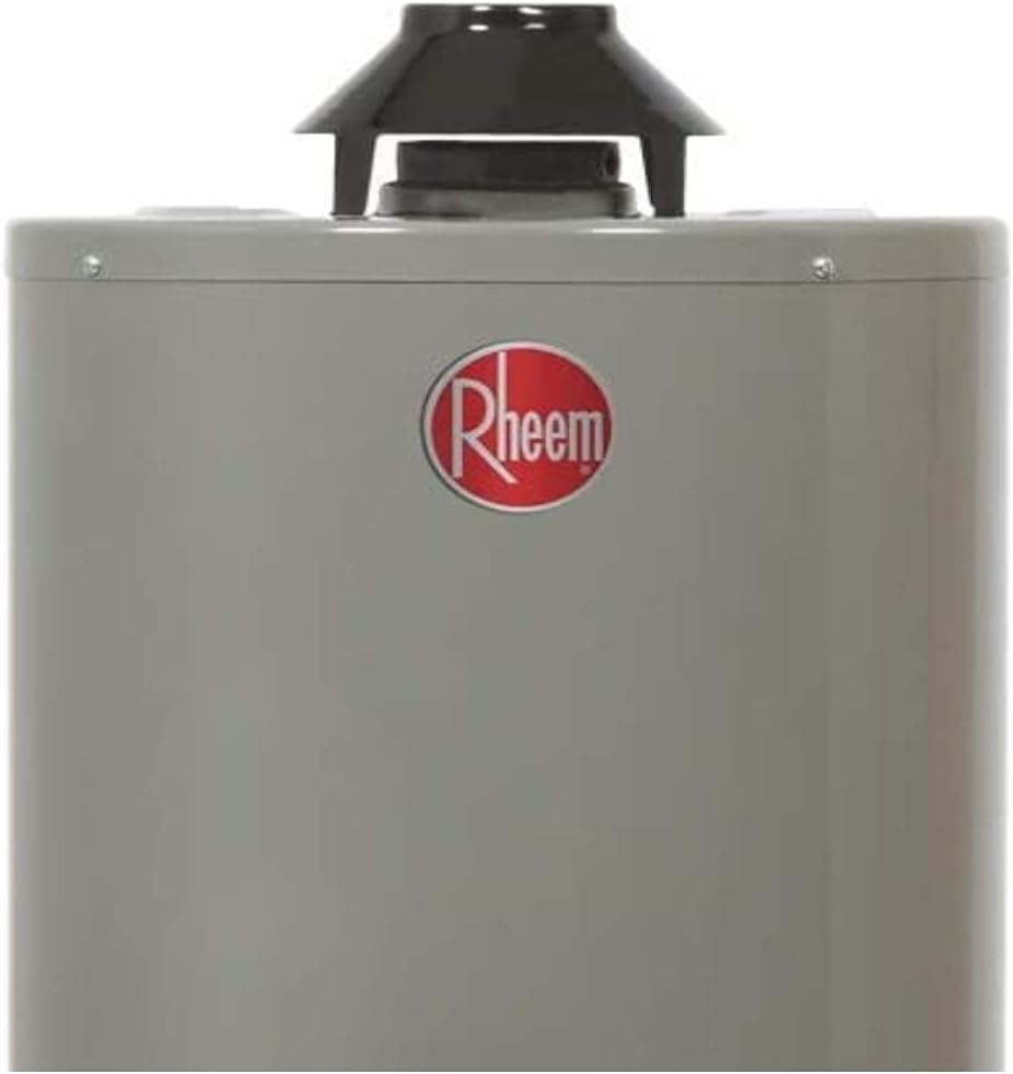 Foto 3 pulgar | Calentador de Gas Rheem color Gris