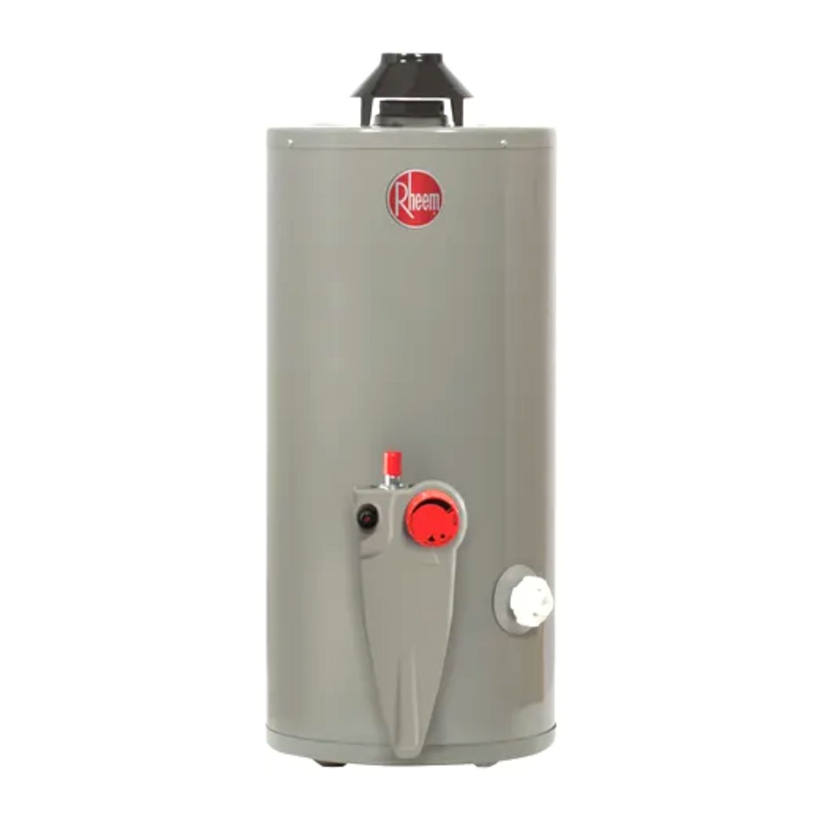 Foto 1 | Calentador de Agua Gas LP Rheem 38 Litros