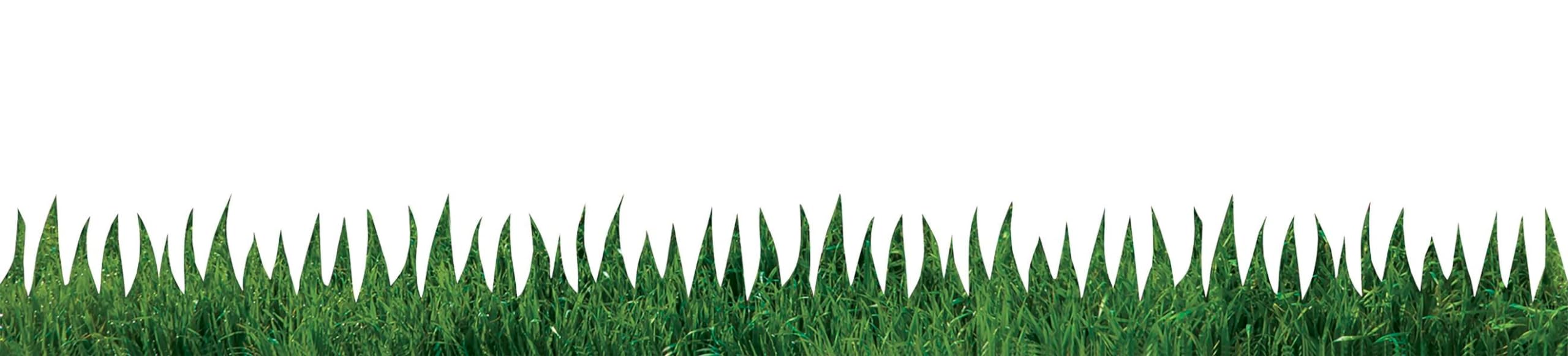 Foto 1 | Tablón De Anuncios Border Hygloss Products, Césped Natural, 3 X 36 Pulgadas - Venta Internacional.