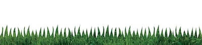 Foto 1 | Tablón De Anuncios Border Hygloss Products, Césped Natural, 3 X 36 Pulgadas - Venta Internacional.