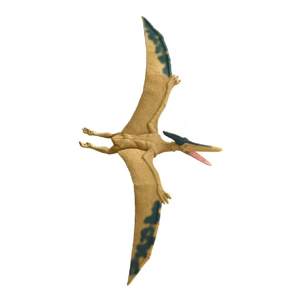 Foto 4 pulgar | Jurassic World Pteranodon Dinosaurio Juguete Mattel Hhf08
