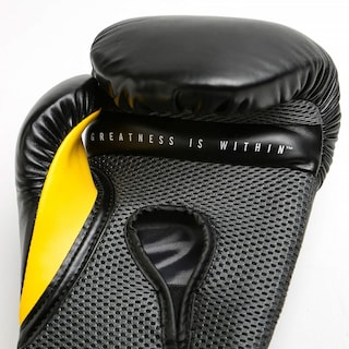Foto 3 | Guantes de Box Pro Style Elite 16 OZ Everlast XE2316 color Negro