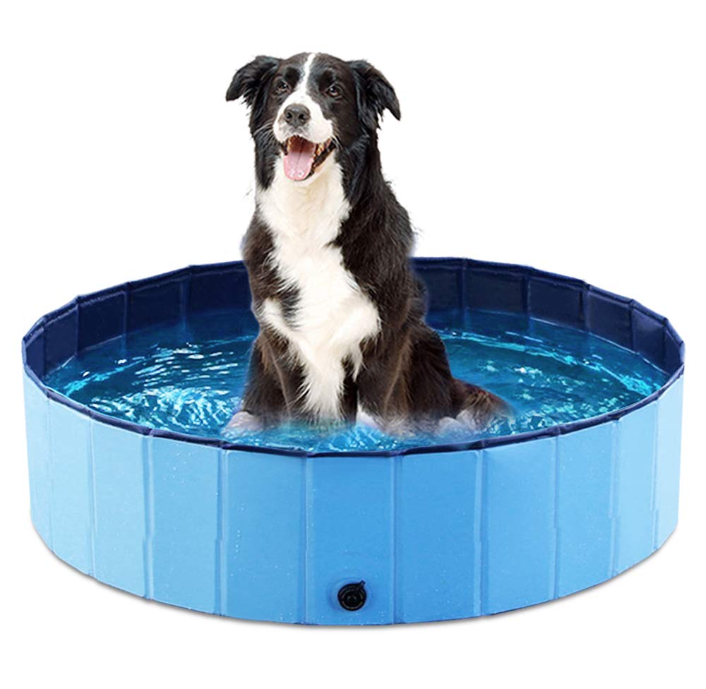 Bañera Plegable Para Perros Y Mascotas Jasonwell, Plegable, 32 Cm, Azul - Venta Internacional.