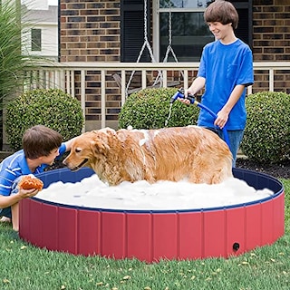 Foto 2 | Piscina Para Mascotas Pawhut, Pvc, Plegable, 160 X 30 Cm, Rojo/b - Venta Internacional.