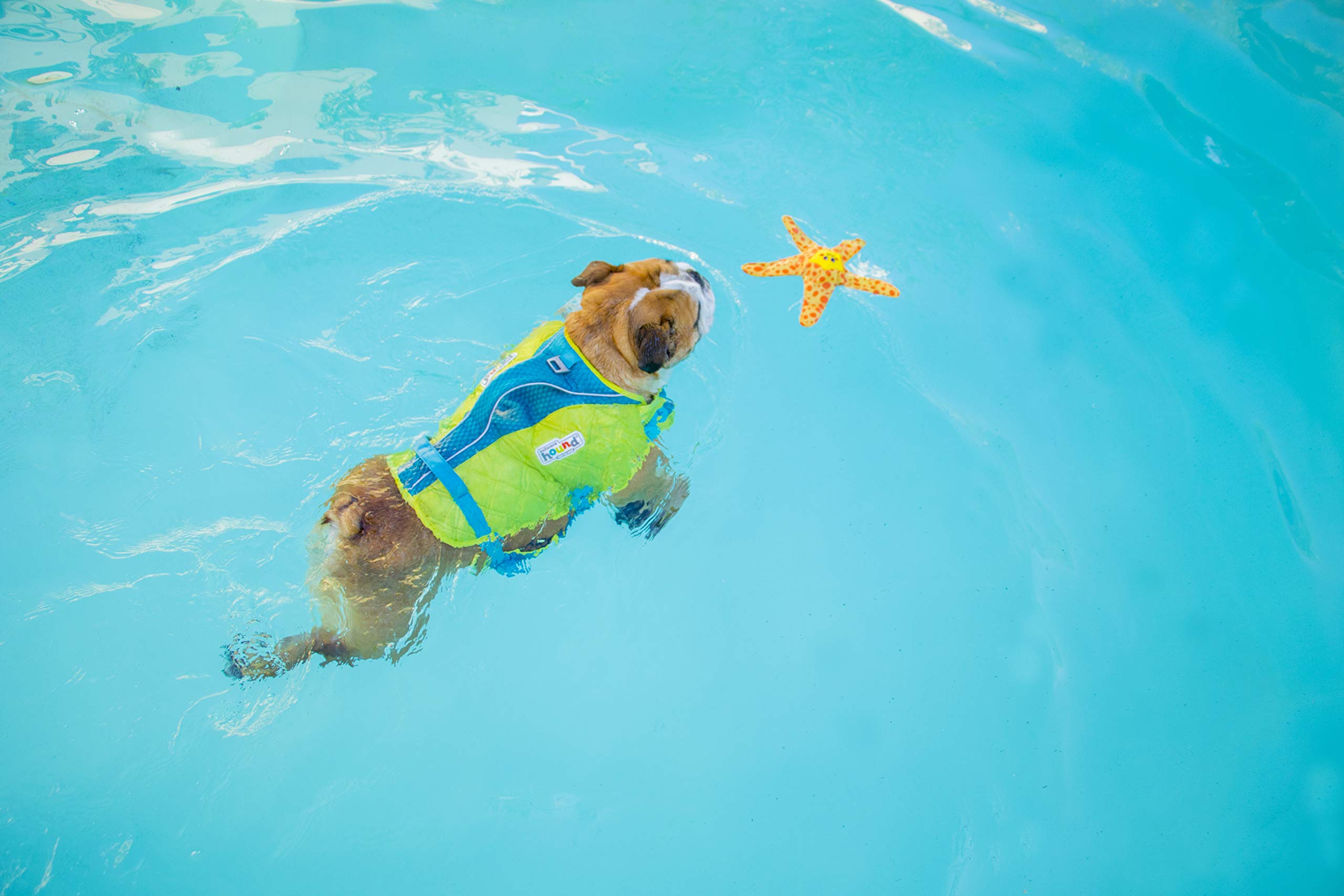 Foto 5 pulgar | Juguete Flotante Para Perros Outward Hound Floatiez Starfish Medium - Venta Internacional.