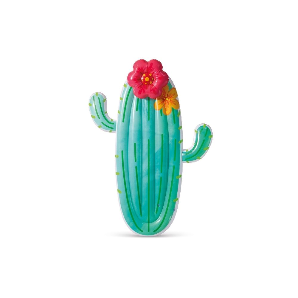 Foto 1 | Inflable Intex de Cactus